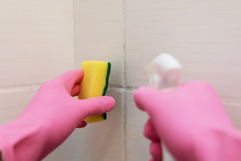 Bathroom Grout Cleaning